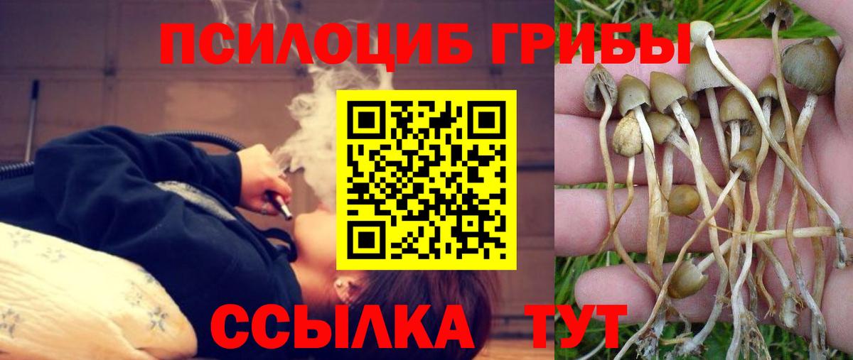 где найти наркотики  Вход с VPN  Фролово  Псилоцибиновые грибы ЛСД 