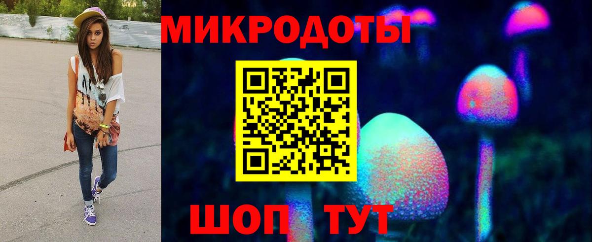 Псилоцибиновые грибы Cubensis Фролово